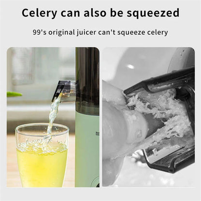 Blendease Pro Mini Slow Juicer