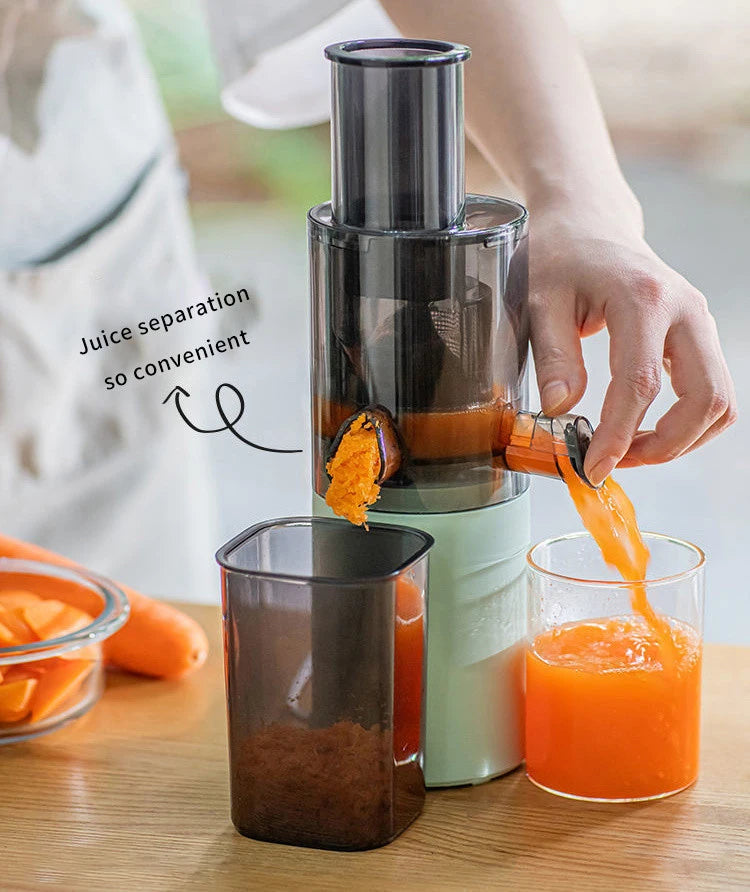 Blendease Pro Mini Slow Juicer