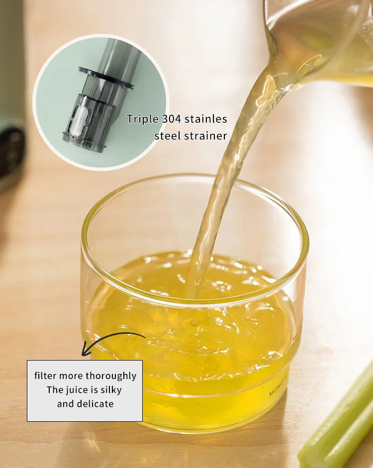 Blendease Pro Mini Slow Juicer