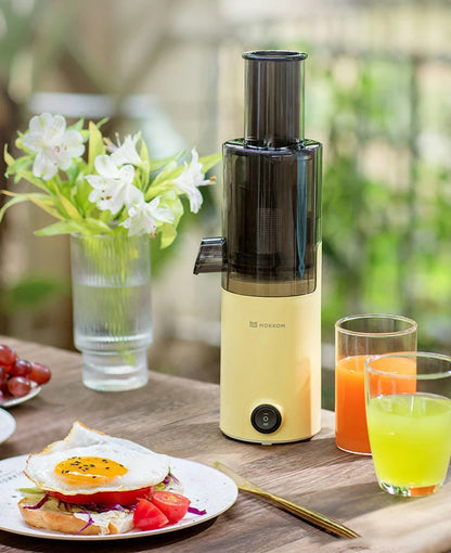 Blendease Pro Mini Slow Juicer