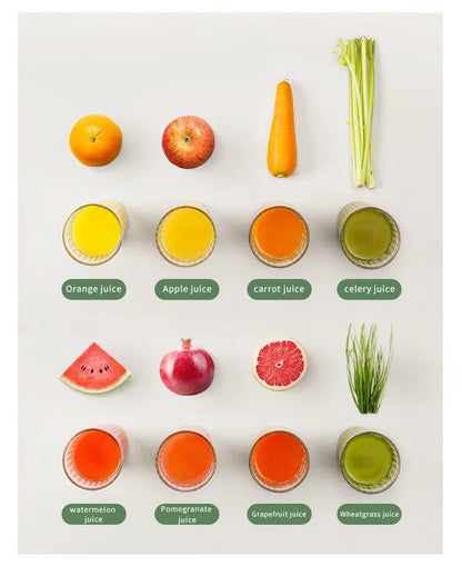 Blendease Pro Mini Slow Juicer